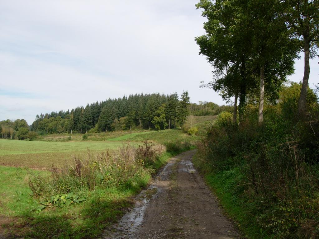 Gite Rural Le Falihou Braives Buitenkant foto