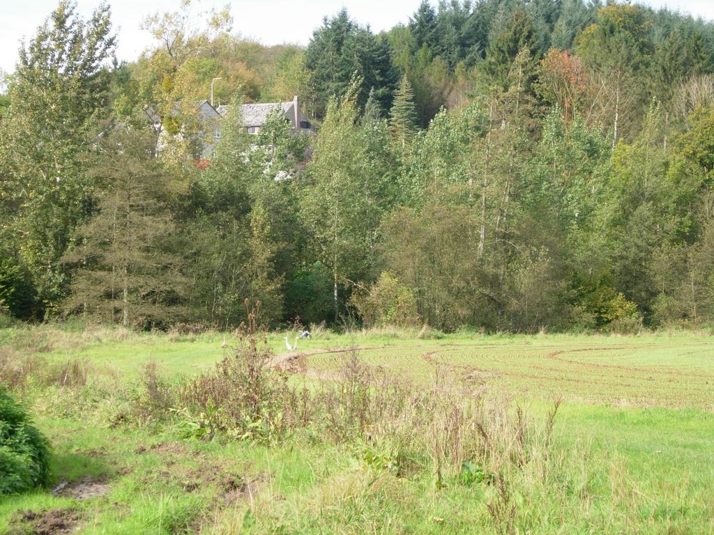 Gite Rural Le Falihou Braives Buitenkant foto